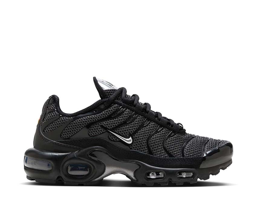 Nike Air Max Plus W "Black Silver"