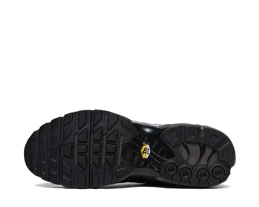 Nike Air Max Plus PRM QS "Paris"