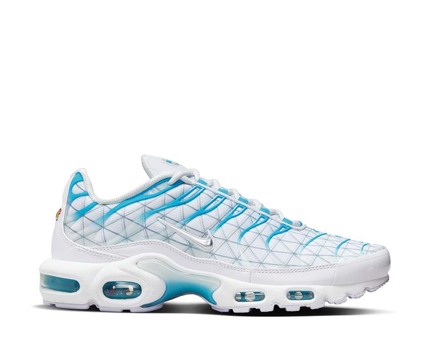 Nike Air Max Plus "Marseille"