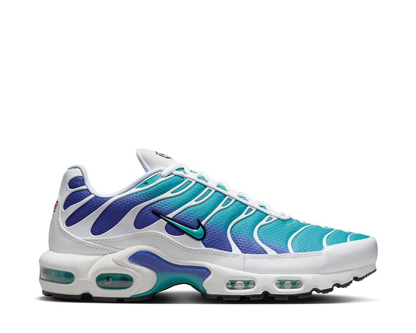 Nike Air Max Plus "Aqua"