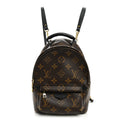 Monogram Palm Springs Backpack Mini £¨ Direct shipment via from wholesalehk.shop