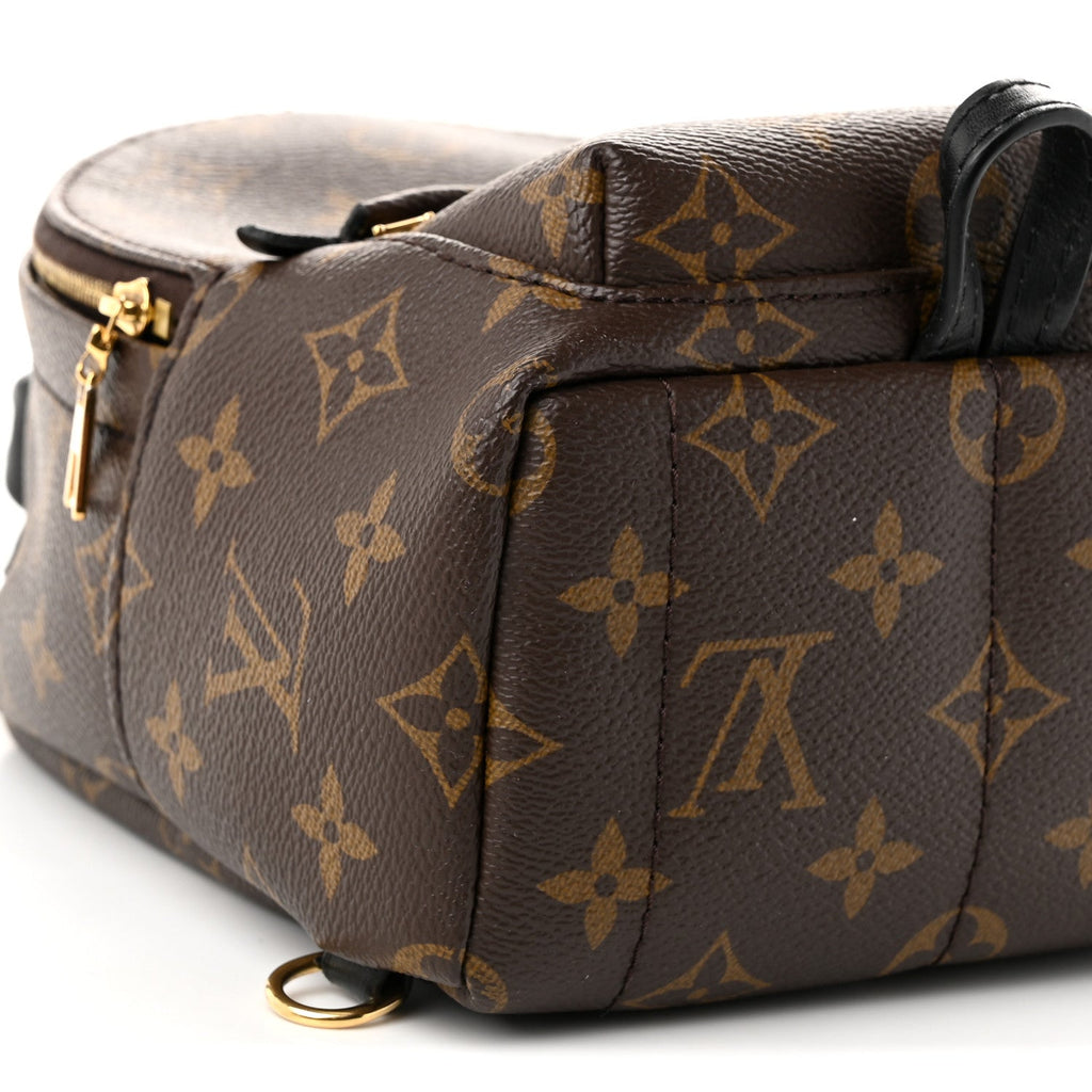 Monogram Palm Springs Backpack Mini £¨ Direct shipment via from wholesalehk.shop