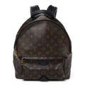 Monogram Palm Springs Backpack MM £¨ Direct shipment via from wholesalehk.shop