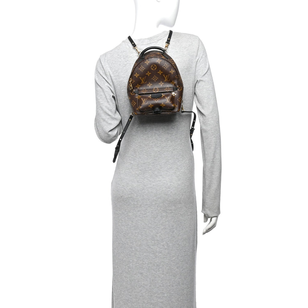 Monogram Palm Springs Backpack Mini £¨ Direct shipment via from wholesalehk.shop