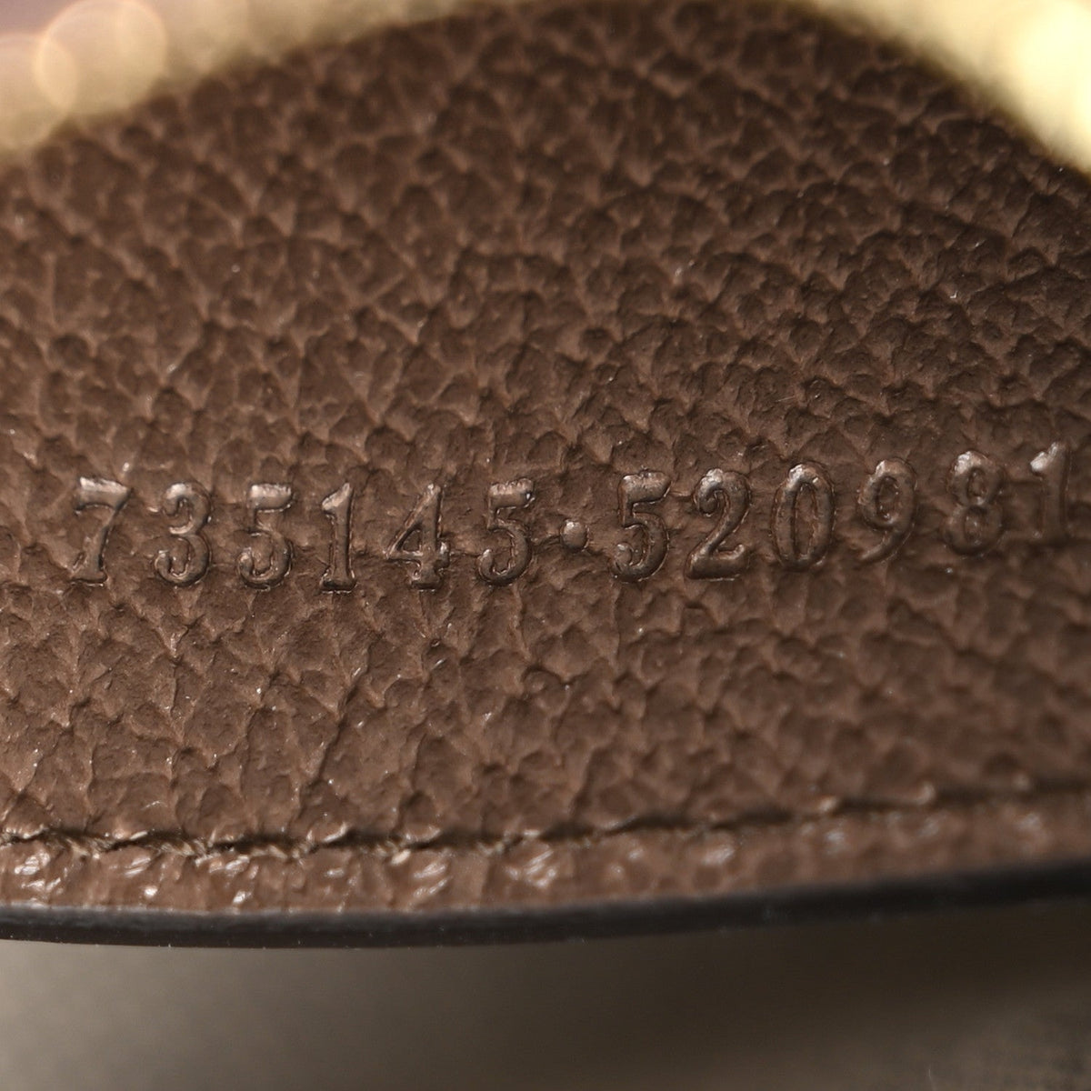 GG Supreme Monogram Textured Dollar Calfskin Small Ophidia Hobo Beige Ebony New Acero wholesalehk.shop