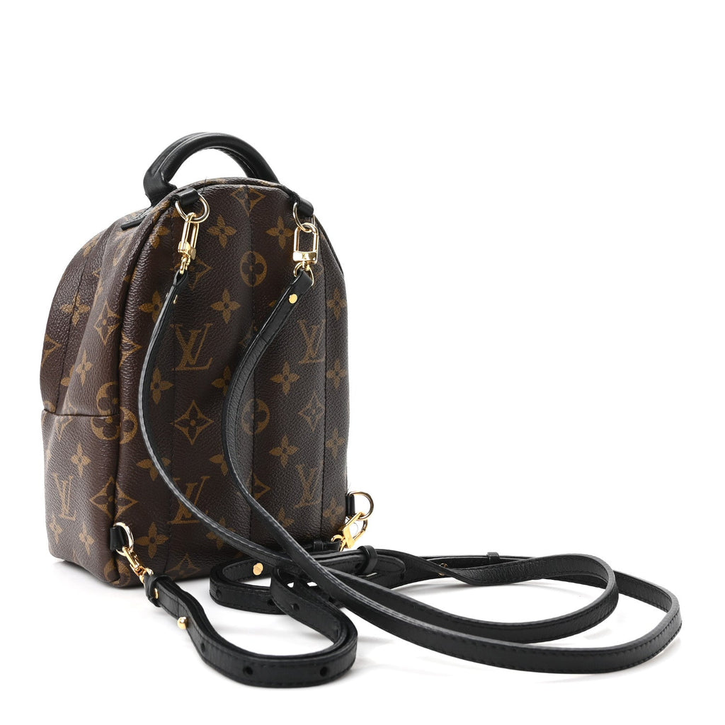 Monogram Palm Springs Backpack Mini £¨ Direct shipment via from wholesalehk.shop