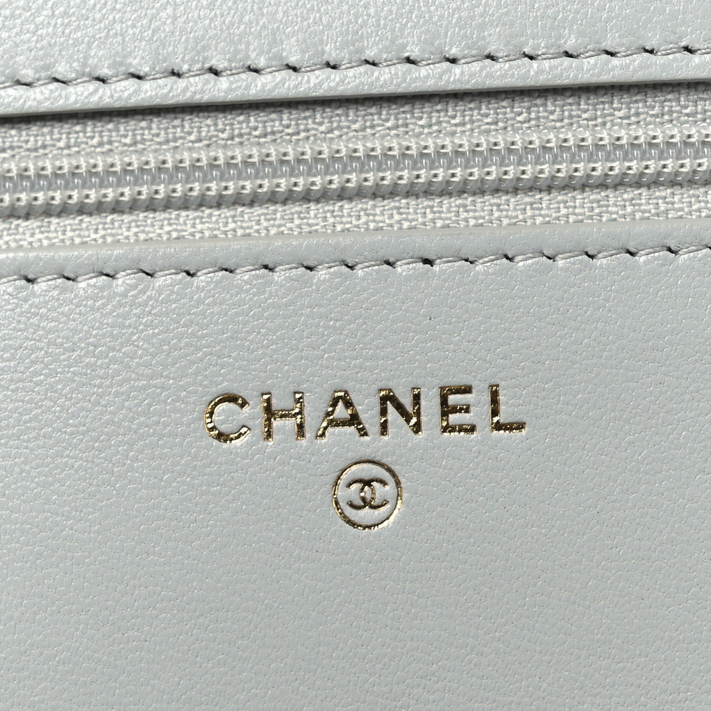Lambskin Quilted Chanel 19 Wallet On Chain WOC Light Blue wholesalehk.shop