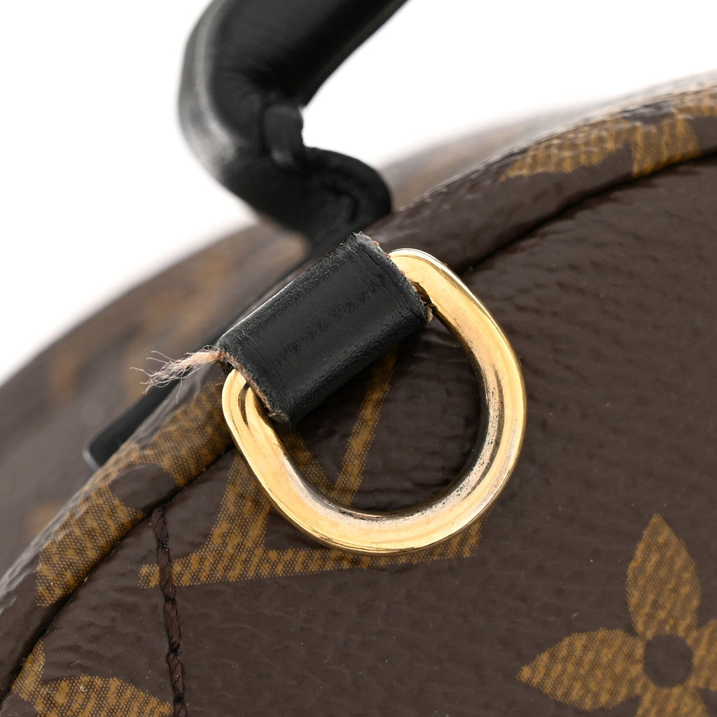 Monogram Palm Springs Backpack Mini £¨ Direct shipment via from wholesalehk.shop