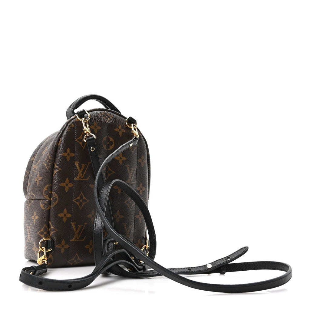 Monogram Palm Springs Backpack Mini £¨ Direct shipment via from wholesalehk.shop