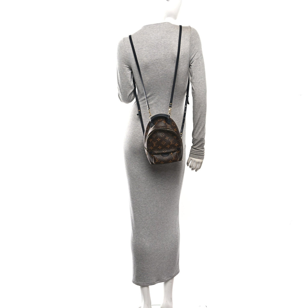 Monogram Palm Springs Backpack Mini £¨ Direct shipment via from wholesalehk.shop