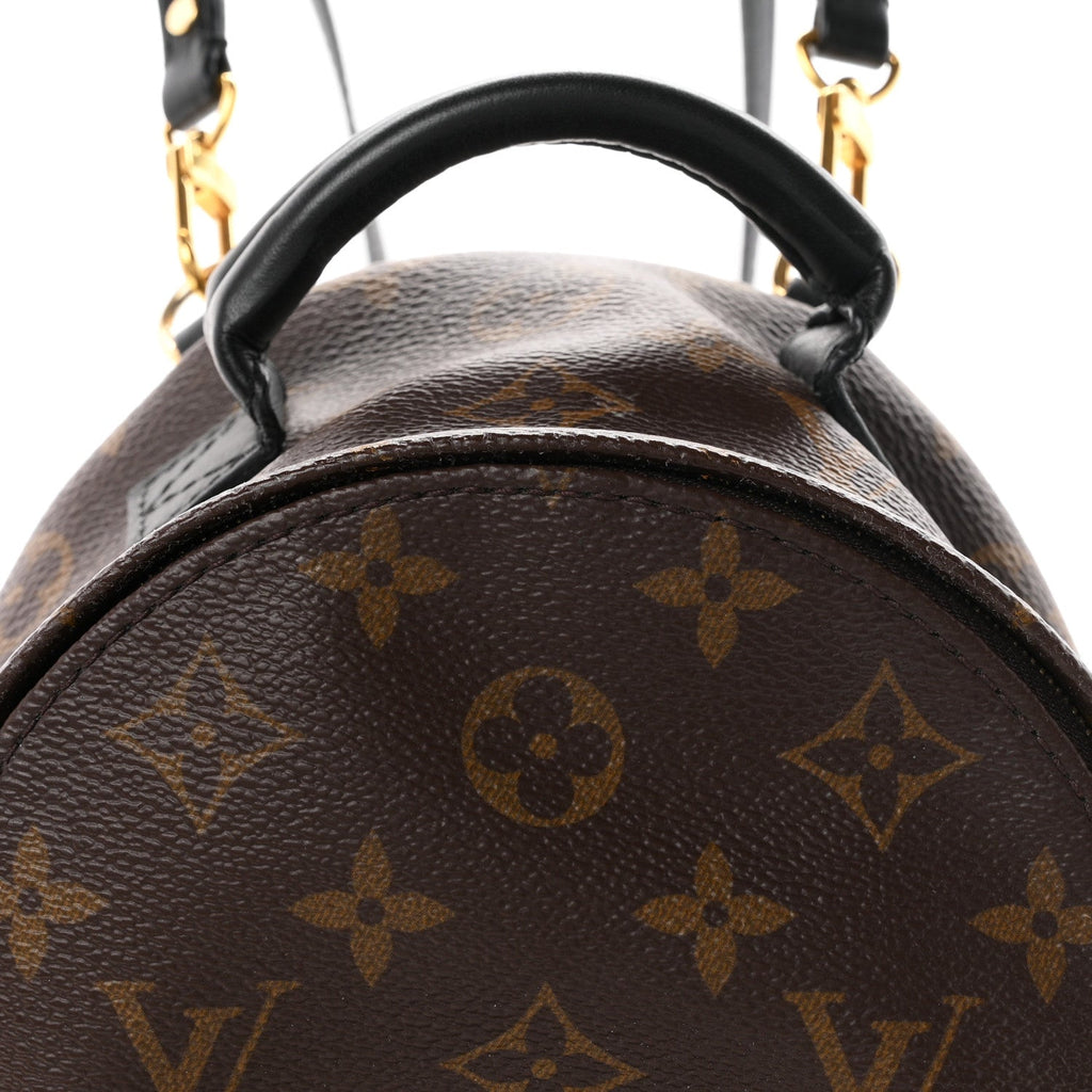 Monogram Palm Springs Backpack Mini £¨ Direct shipment via from wholesalehk.shop