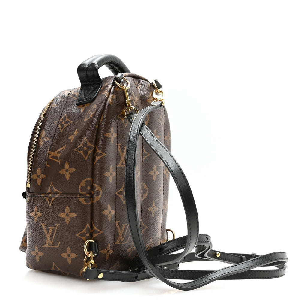 Monogram Palm Springs Backpack Mini £¨ Direct shipment via from wholesalehk.shop