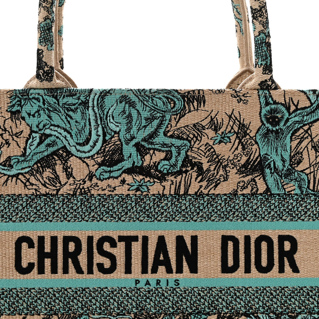 Raffia Embroidered Dioriviera Medium Book Tote Aquamarina £¨ Direct shipment via from wholesalehk.shop