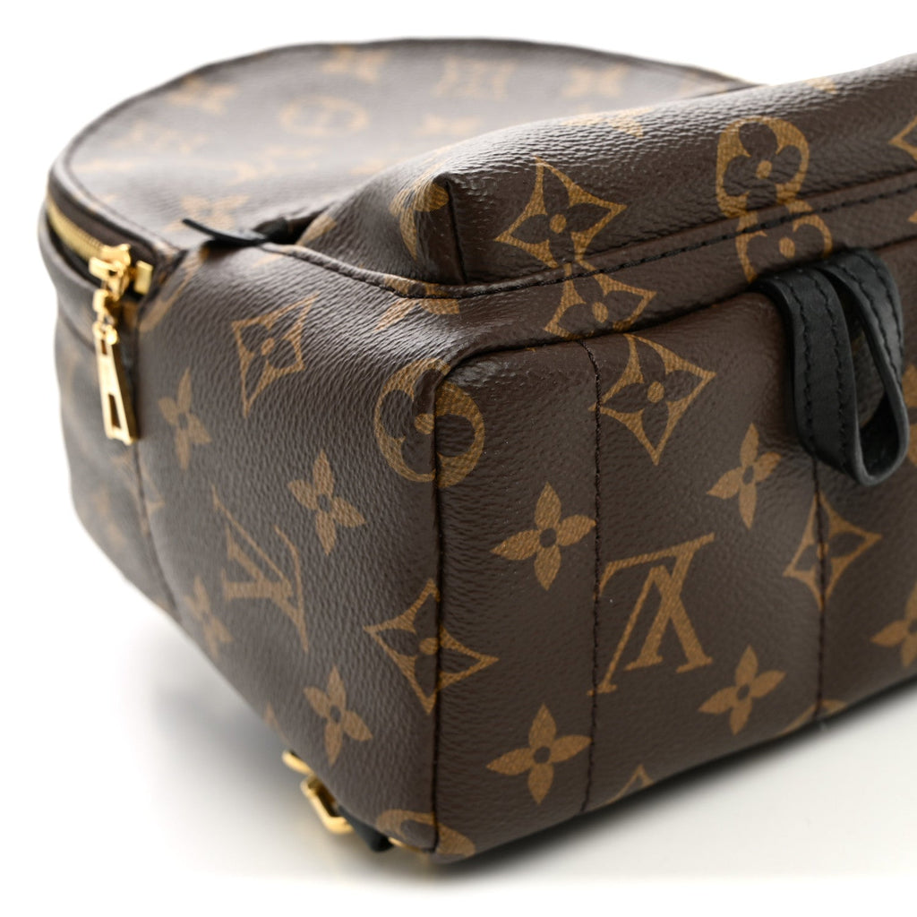 Monogram Palm Springs Backpack Mini £¨ Direct shipment via from wholesalehk.shop