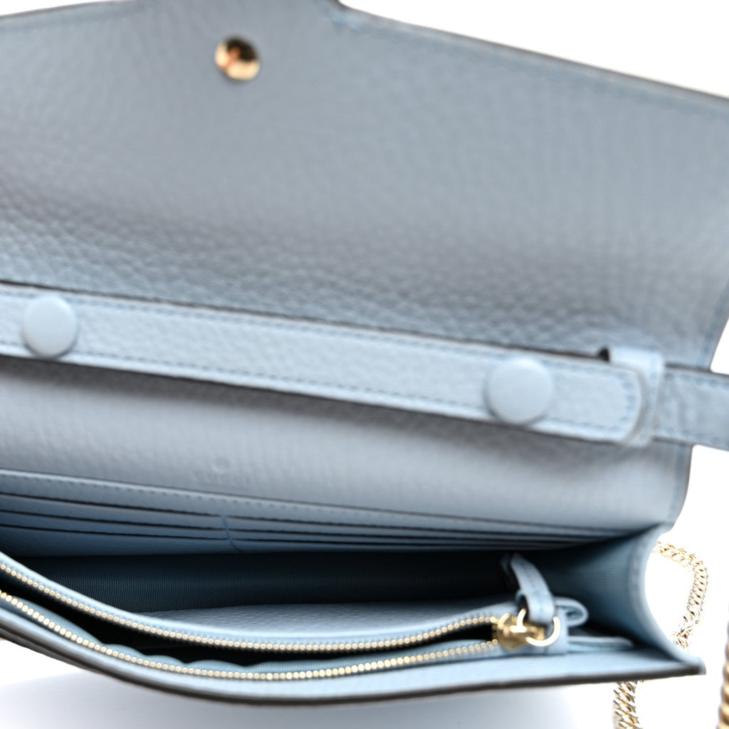 Calfskin Dionysus NM Chain Wallet Porcelain Light Blue wholesalehk.shop