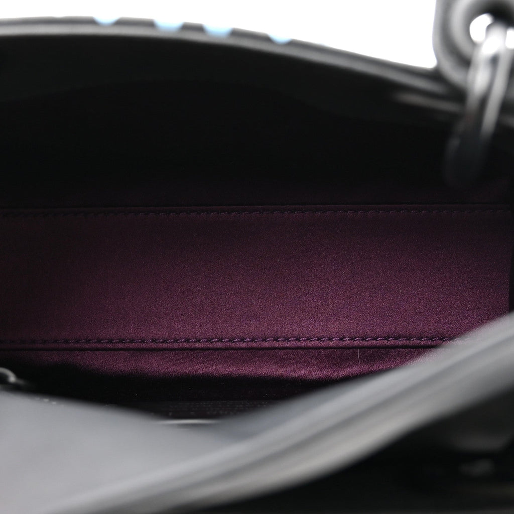 X BHARTI KHER Calfskin Painted Mini Lady Dior Black wholesalehk.shop