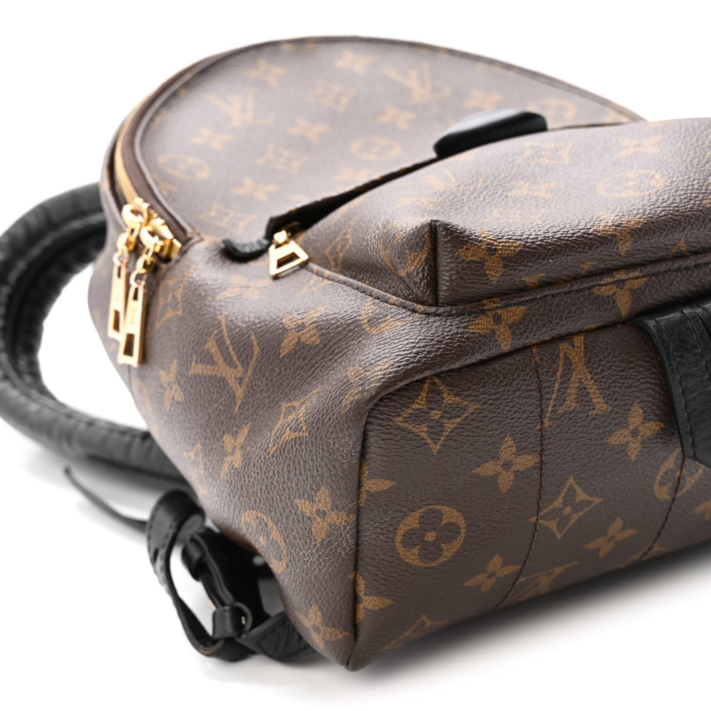 Monogram Palm Springs Backpack PM £¨ Direct shipment via from wholesalehk.shop