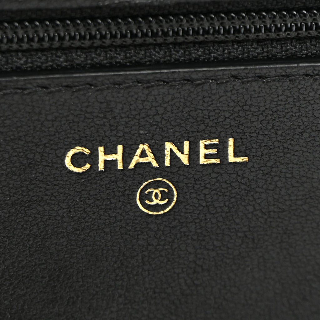 Lambskin Quilted Chanel 19 Wallet On Chain WOC Black wholesalehk.shop