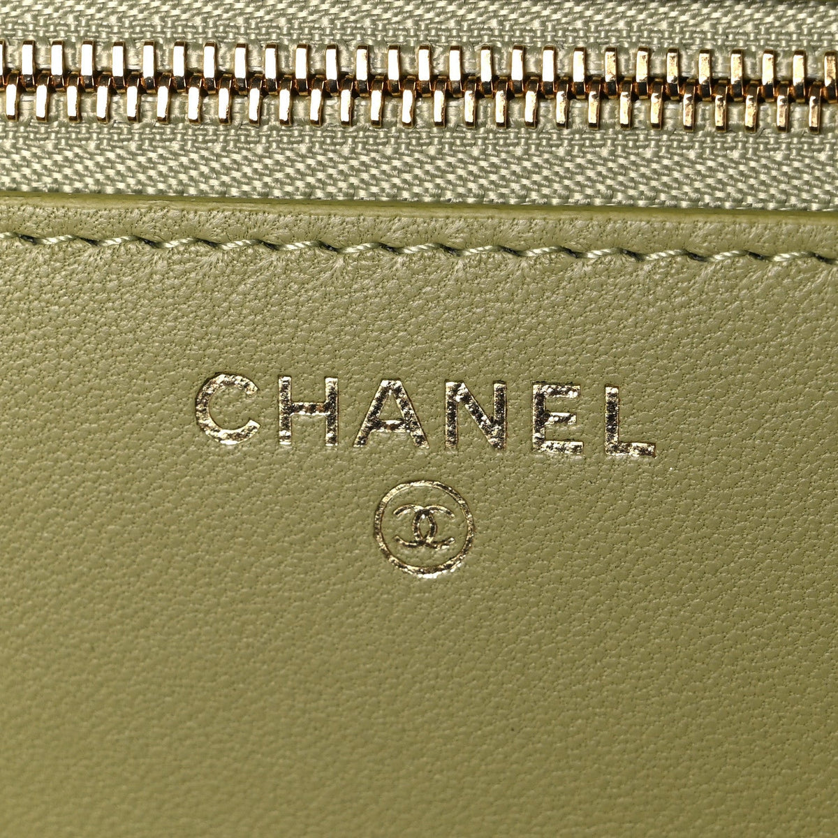 Shiny Lizard Wallet on Chain WOC Green wholesalehk.shop