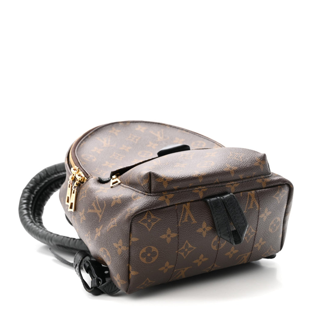 Monogram Palm Springs Backpack PM £¨ Direct shipment via from wholesalehk.shop