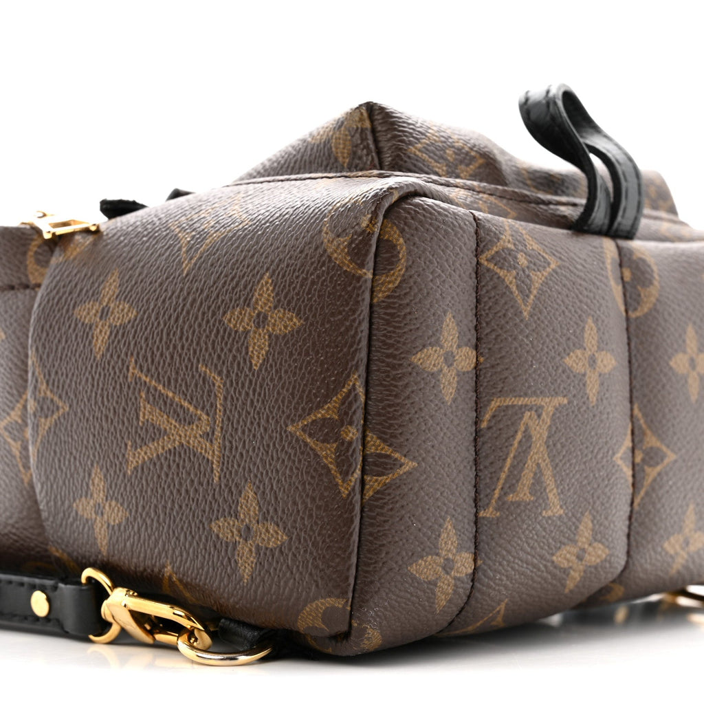 Monogram Palm Springs Backpack Mini £¨ Direct shipment via from wholesalehk.shop