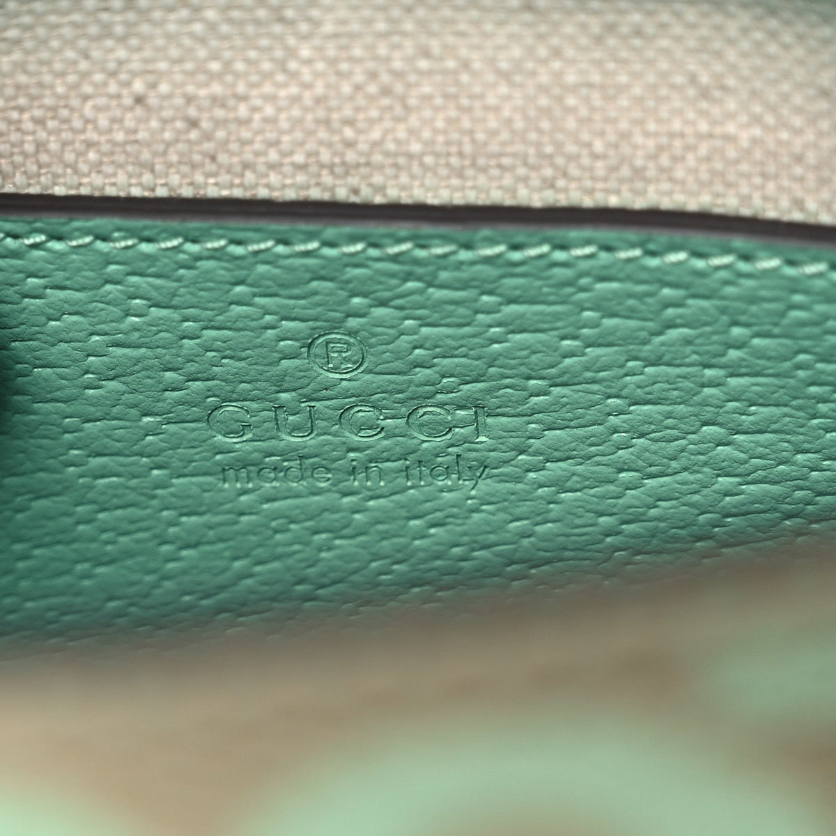 Monogram Jumbo GG Textured Dollar Calfskin Mini Tote Bag Pepperlight Mint wholesalehk.shop