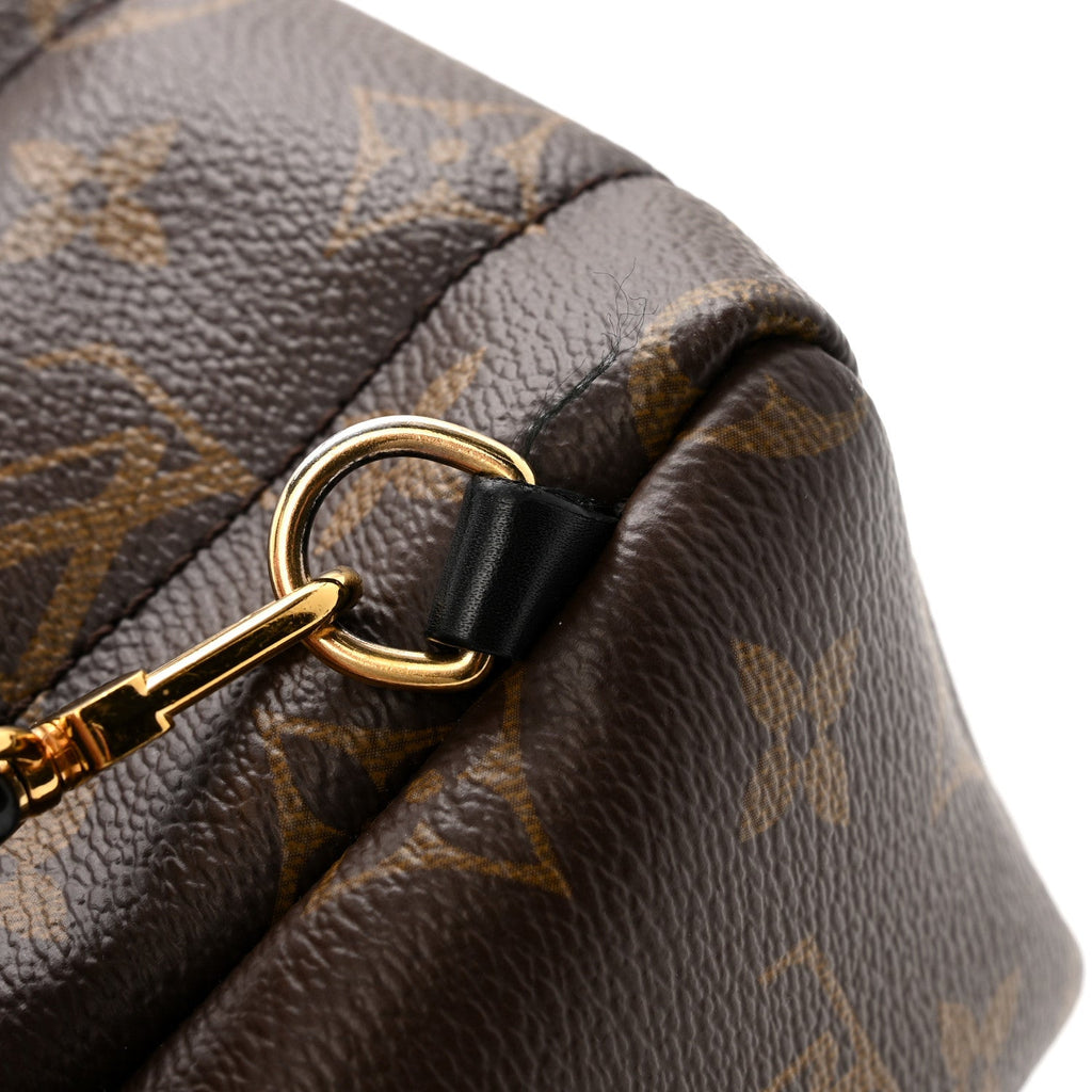 Monogram Palm Springs Backpack Mini £¨ Direct shipment via from wholesalehk.shop