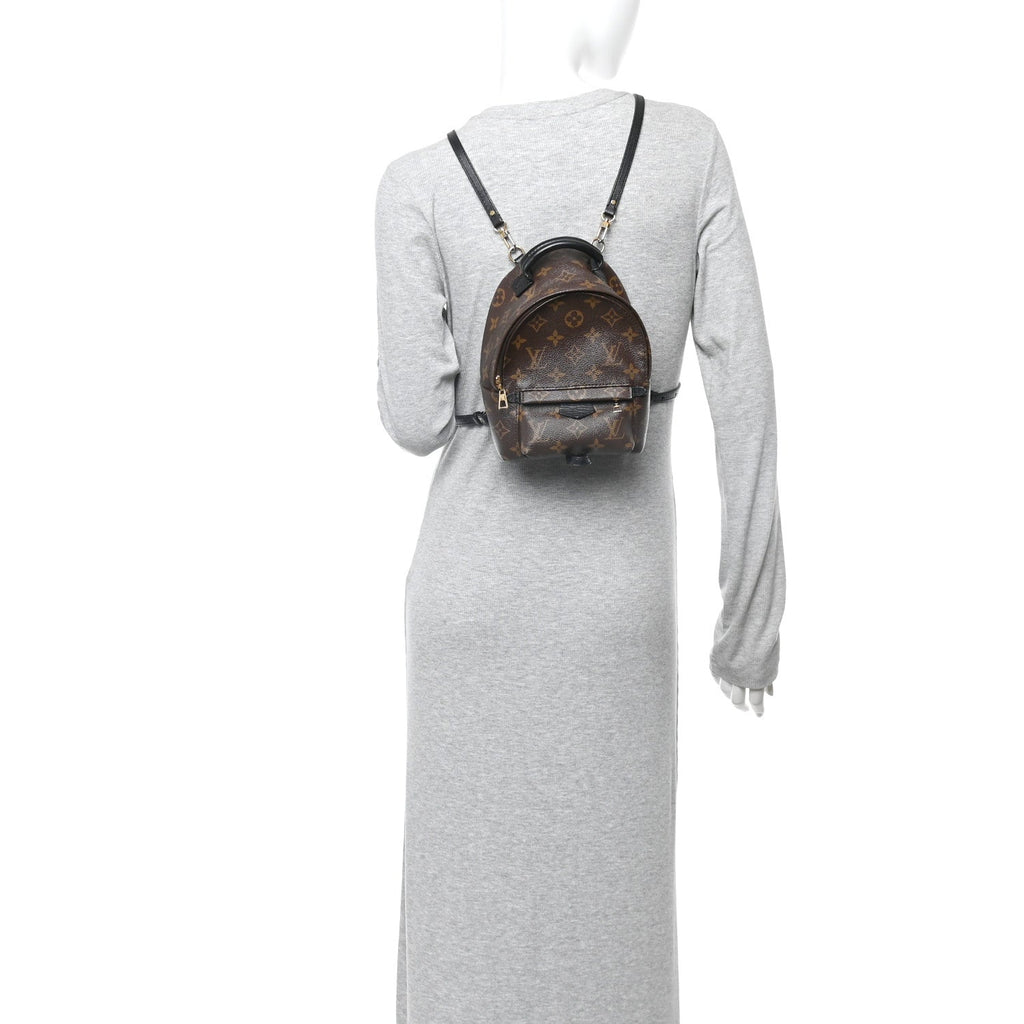 Monogram Palm Springs Backpack Mini £¨ Direct shipment via from wholesalehk.shop