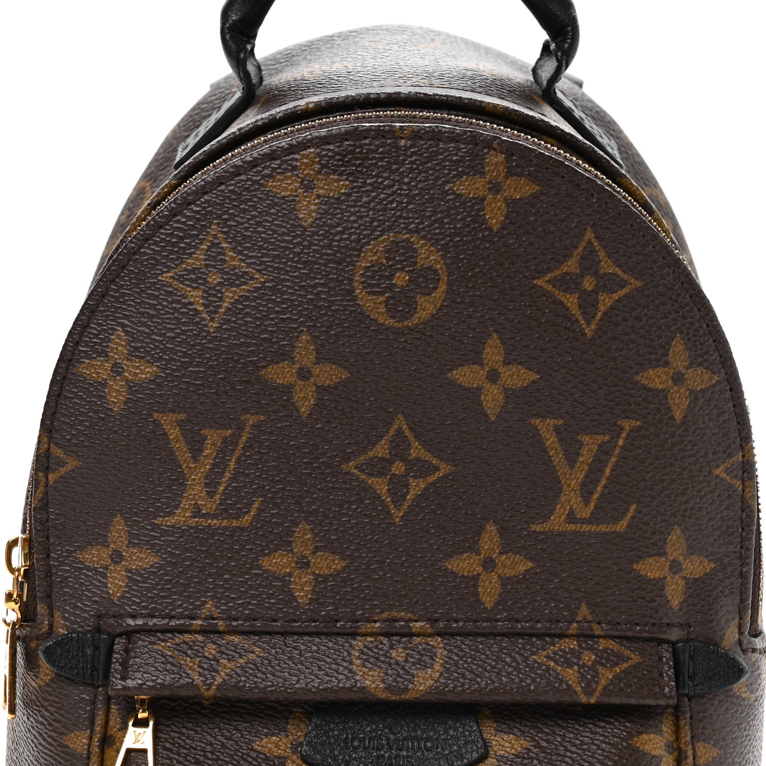 Monogram Palm Springs Backpack Mini £¨ Direct shipment via from wholesalehk.shop