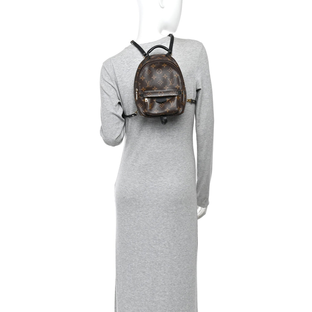 Monogram Palm Springs Backpack Mini £¨ Direct shipment via from wholesalehk.shop