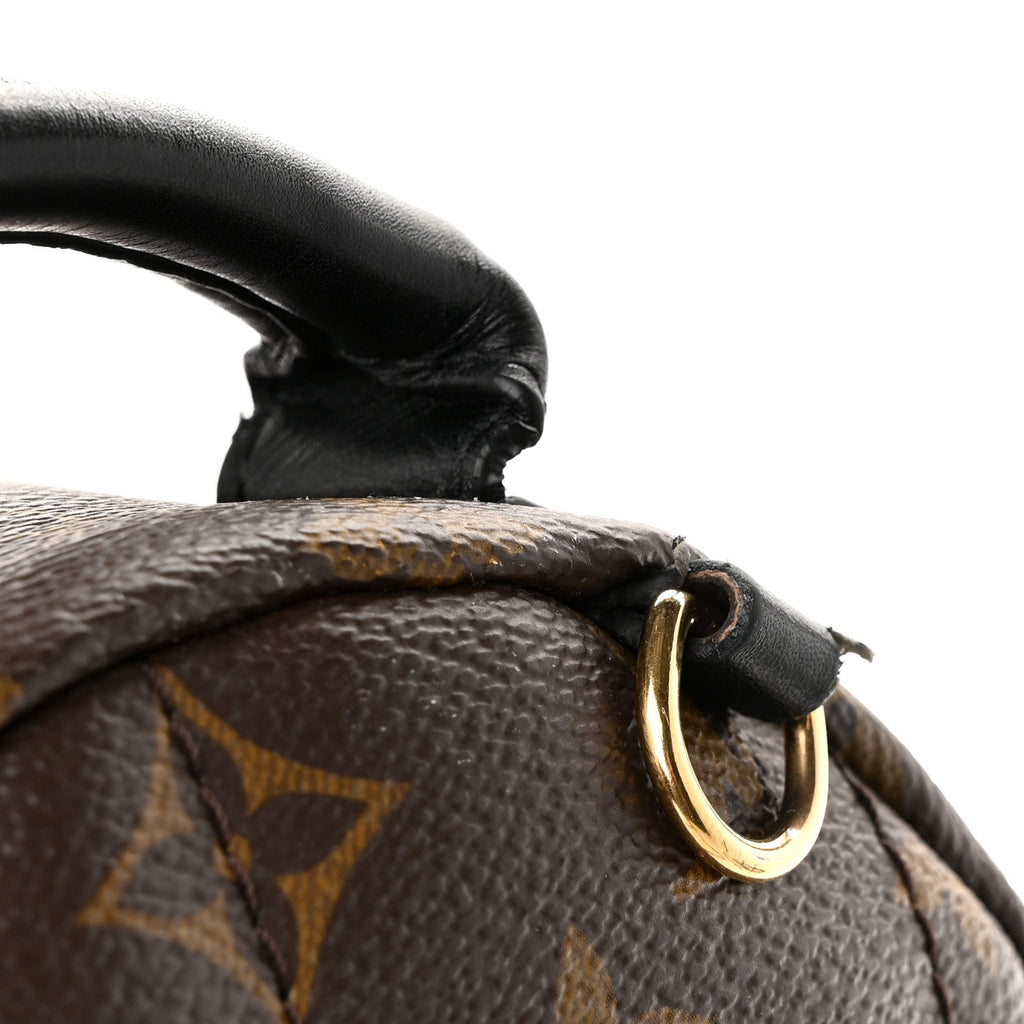 Monogram Palm Springs Backpack Mini £¨ Direct shipment via from wholesalehk.shop