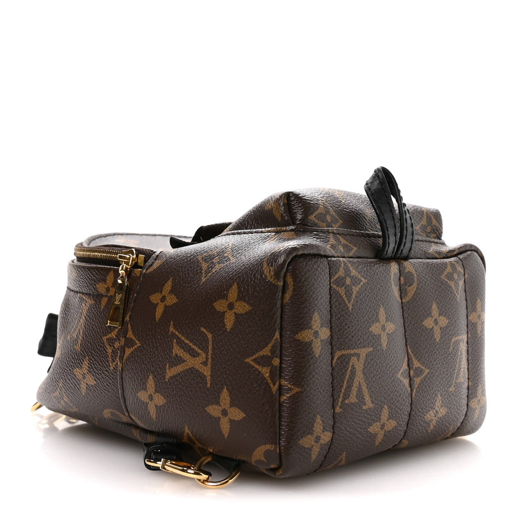 Monogram Palm Springs Backpack Mini £¨ Direct shipment via from wholesalehk.shop