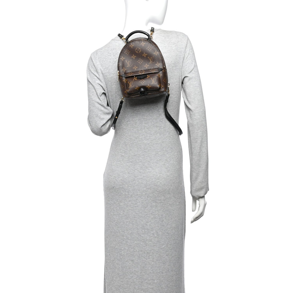 Monogram Palm Springs Backpack Mini £¨ Direct shipment via from wholesalehk.shop