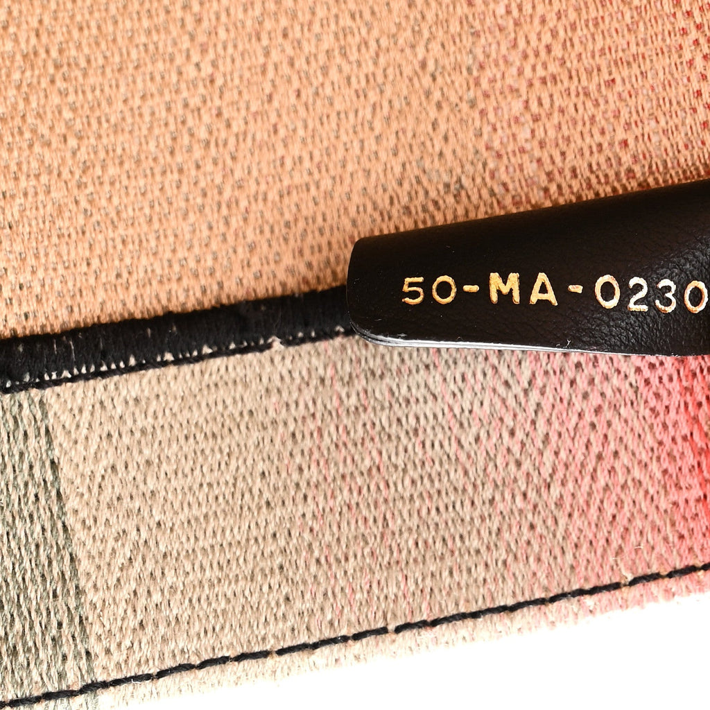 Canvas Embroidered Medium Dioraura Book Tote Multicolor £¨ Direct shipment via from wholesalehk.shop