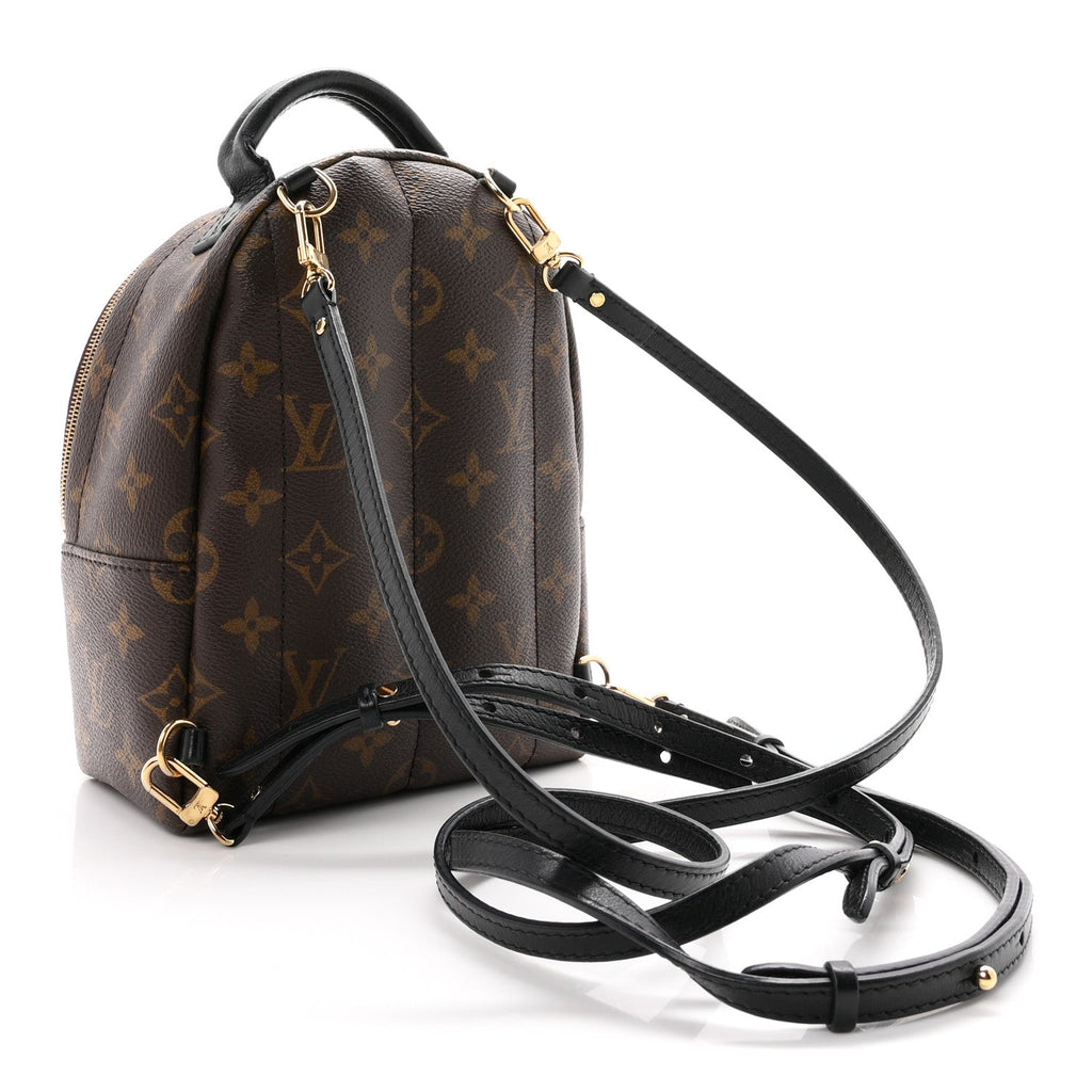 Monogram Palm Springs Backpack Mini £¨ Direct shipment via from wholesalehk.shop