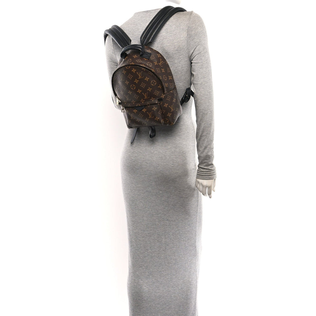 Monogram Palm Springs Backpack PM £¨ Direct shipment via from wholesalehk.shop