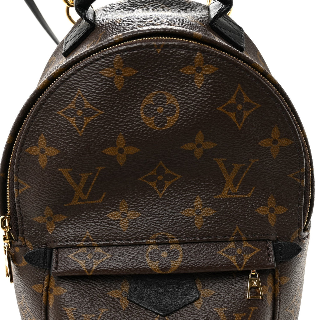 Monogram Palm Springs Backpack Mini £¨ Direct shipment via from wholesalehk.shop