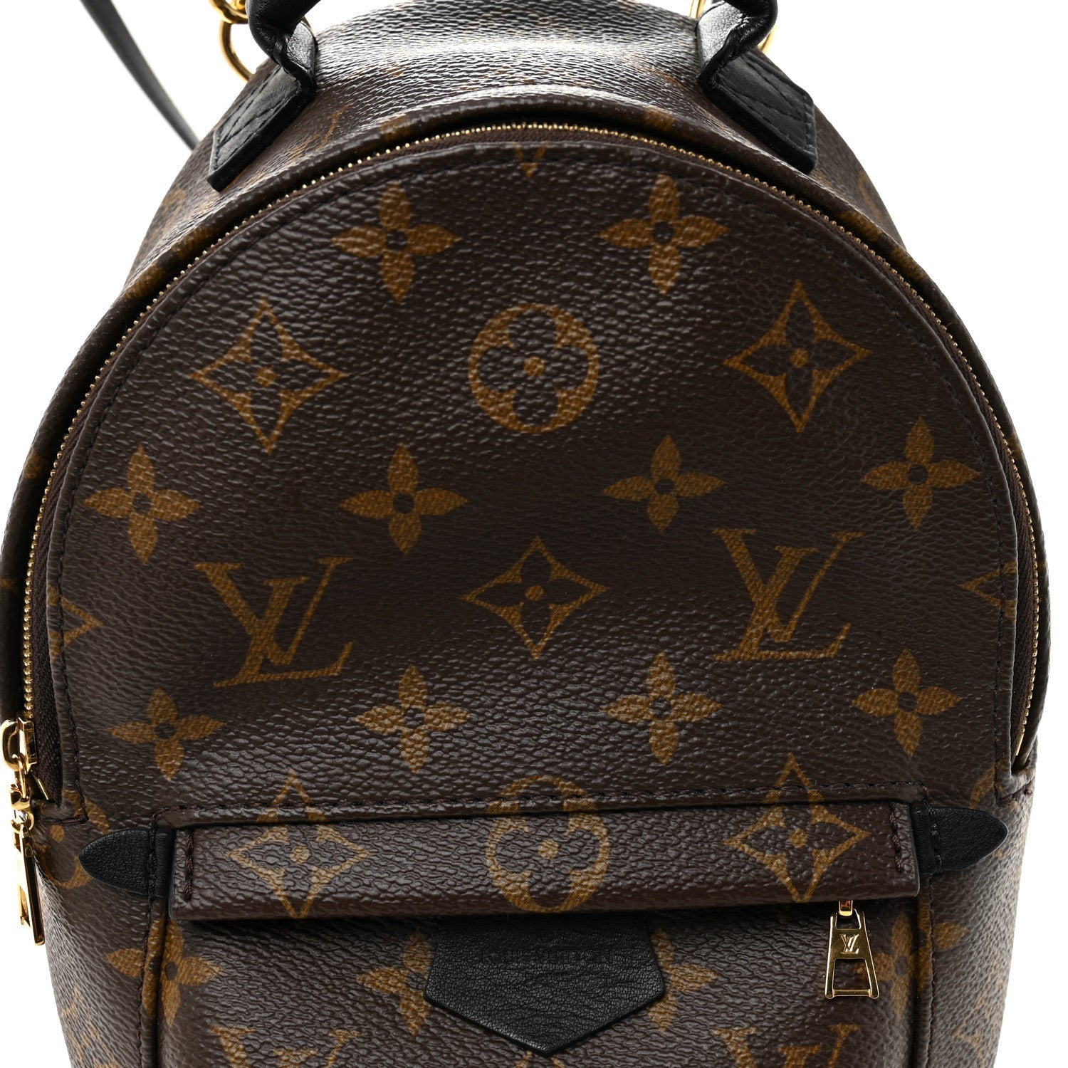 Monogram Palm Springs Backpack Mini £¨ Direct shipment via from wholesalehk.shop
