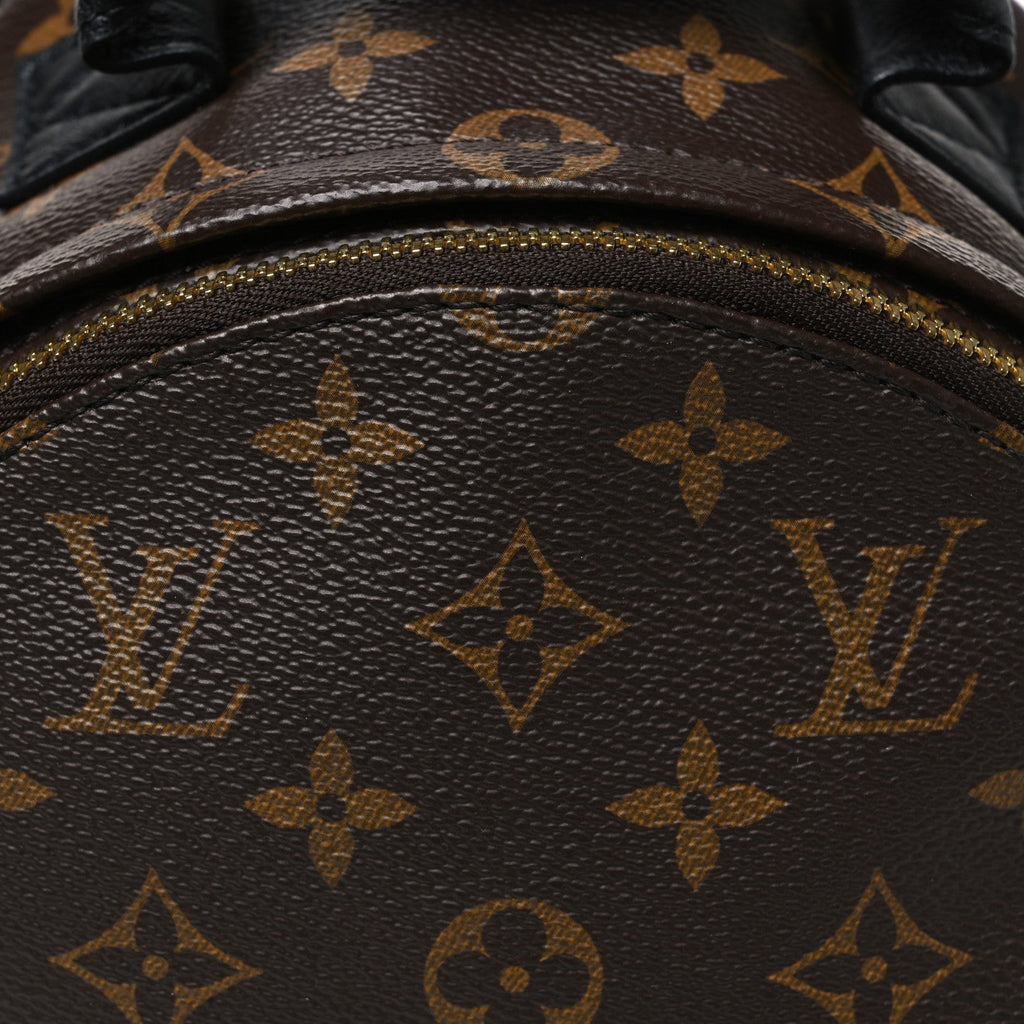 Monogram Palm Springs Backpack PM £¨ Direct shipment via from wholesalehk.shop
