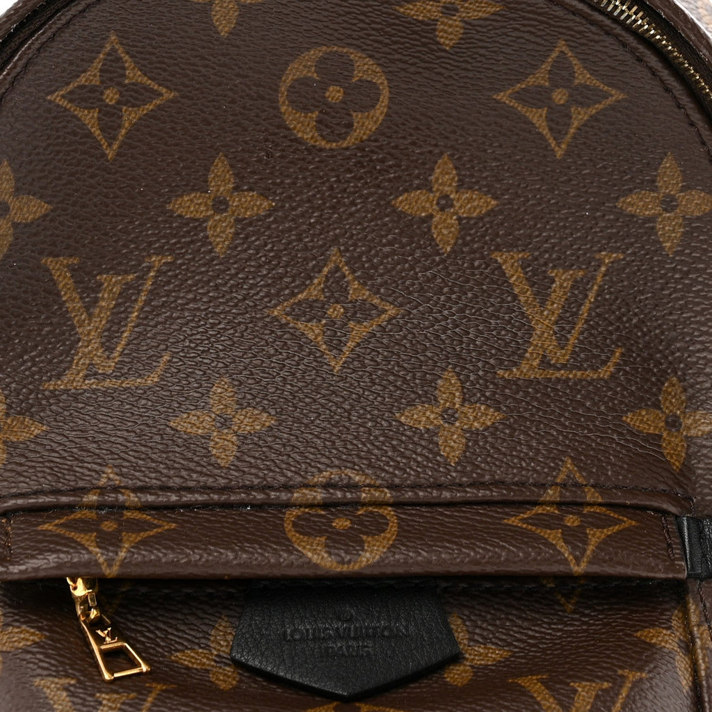 Monogram Palm Springs Backpack Mini £¨ Direct shipment via from wholesalehk.shop