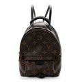 Monogram Palm Springs Backpack Mini £¨ Direct shipment via from wholesalehk.shop