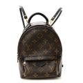 Monogram Palm Springs Backpack Mini £¨ Direct shipment via from wholesalehk.shop
