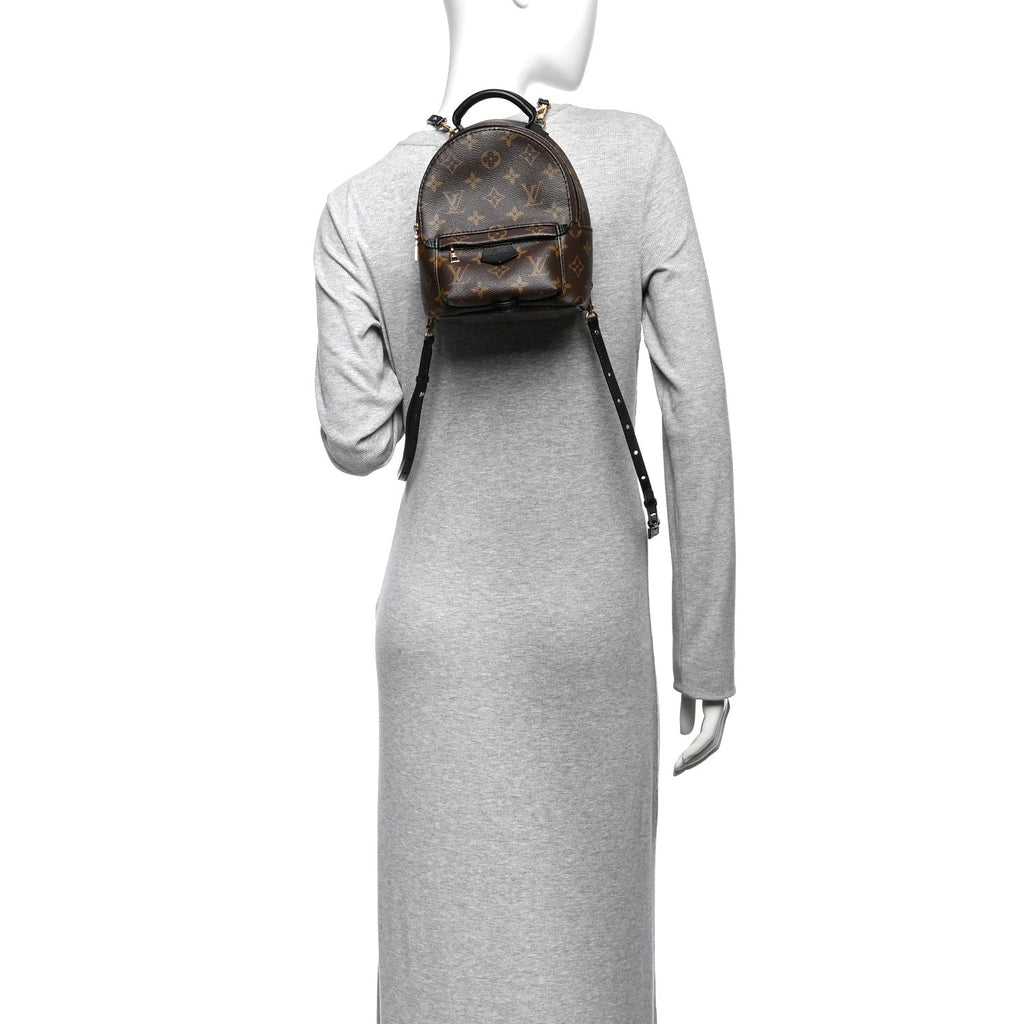 Monogram Palm Springs Backpack Mini £¨ Direct shipment via from wholesalehk.shop