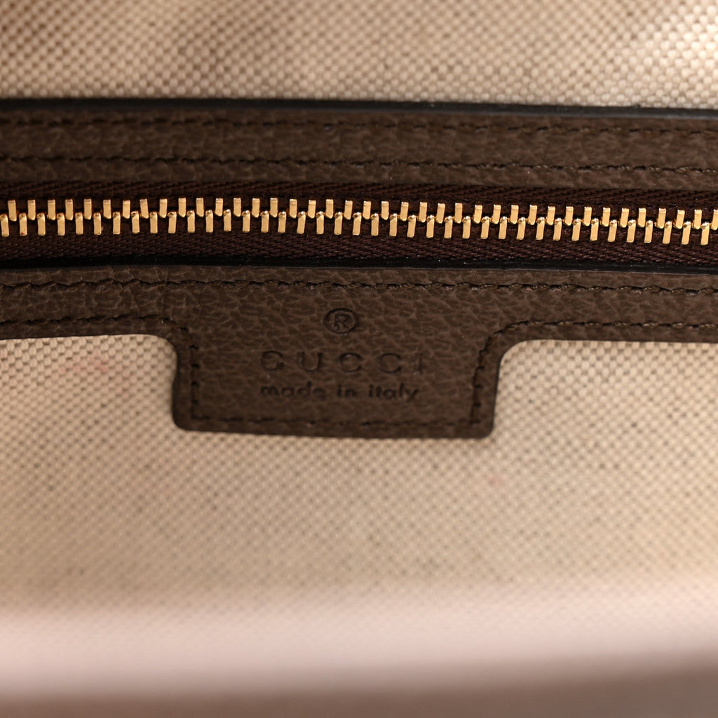 GG Supreme Monogram Textured Dollar Calfskin Web Large Ophidia Bucket Shoulder Bag Beige Ebony New Acero wholesalehk.shop