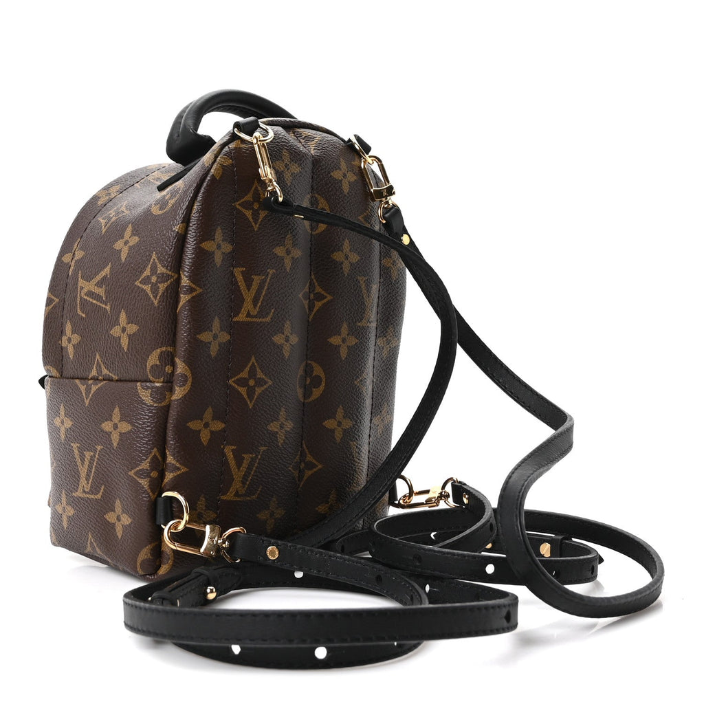 Monogram Palm Springs Backpack Mini £¨ Direct shipment via from wholesalehk.shop