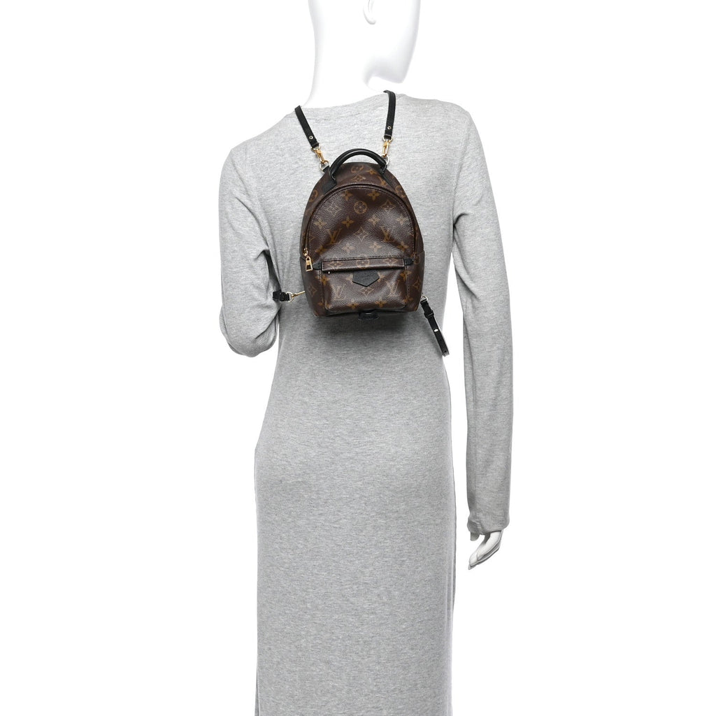 Monogram Palm Springs Backpack Mini £¨ Direct shipment via from wholesalehk.shop