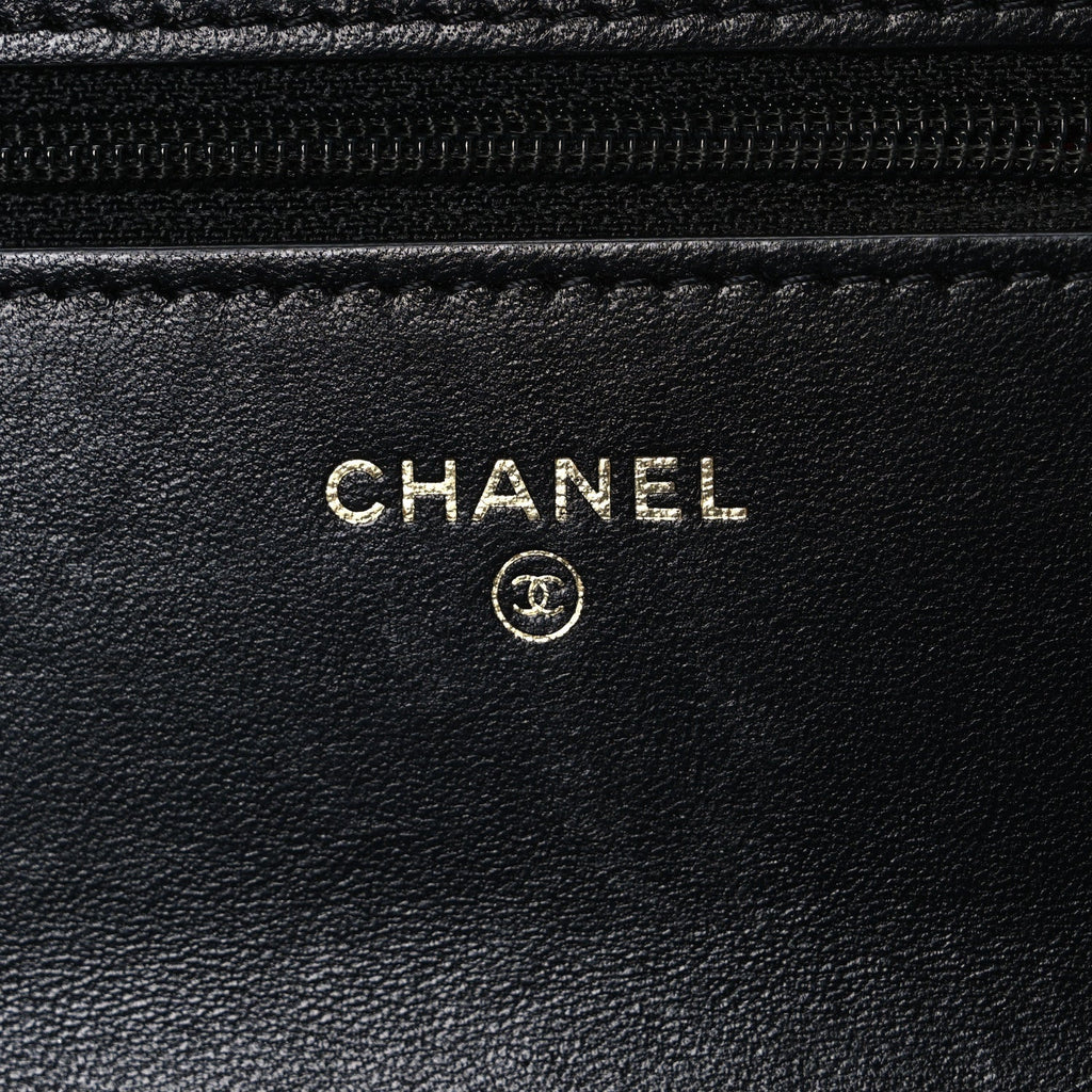 Lambskin Quilted Chanel 19 Wallet On Chain WOC Black wholesalehk.shop