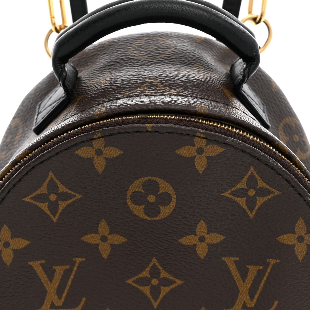 Monogram Palm Springs Backpack Mini £¨ Direct shipment via from wholesalehk.shop