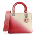 Snakeskin Ombre Medium Lady Dior Red White wholesalehk.shop