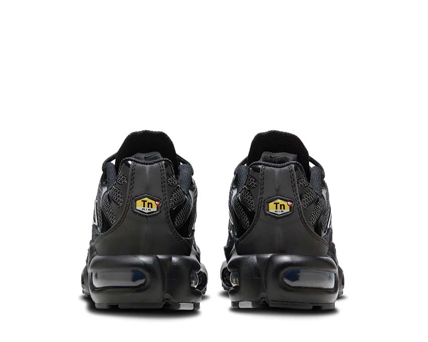 Nike Air Max Plus W "Black Silver"